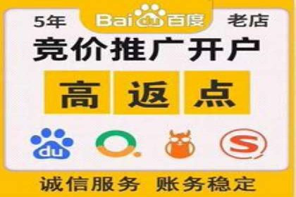 SEM推广策略如何制定——以某电商平台的成功案例为例